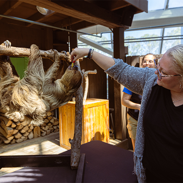 TFA_Woman feeding sloth an apple slice